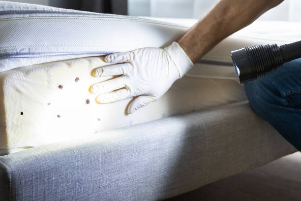 Best Pest Control Near Me in Hillsboro, OH