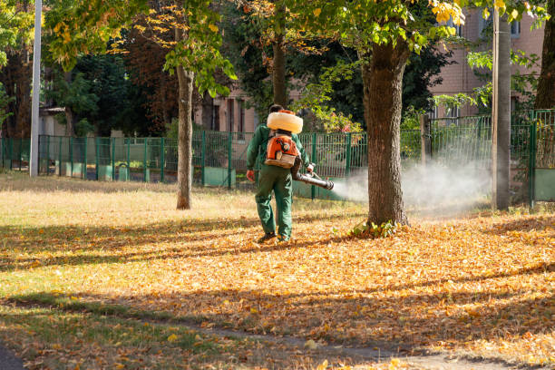 Bird Control in Hillsboro, OH